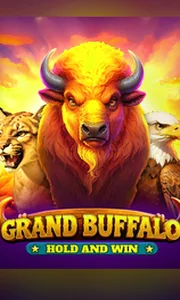 Buffalo Hold and Win